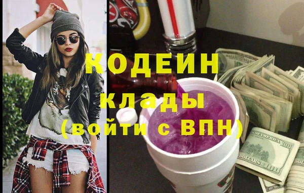 шишки Абаза