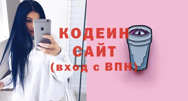 шишки Абаза