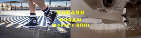 шишки Абаза