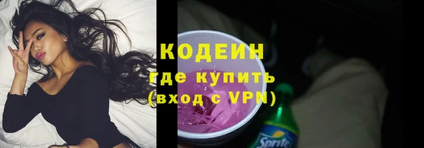 шишки Абаза