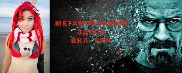 шишки Абаза