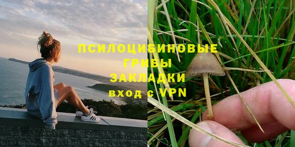 шишки Абаза