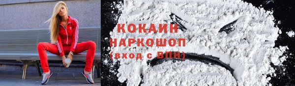 PSILOCYBIN Абдулино
