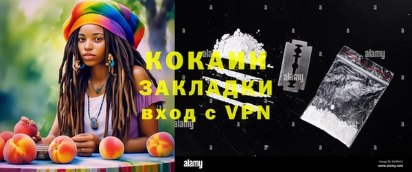 шишки Абаза