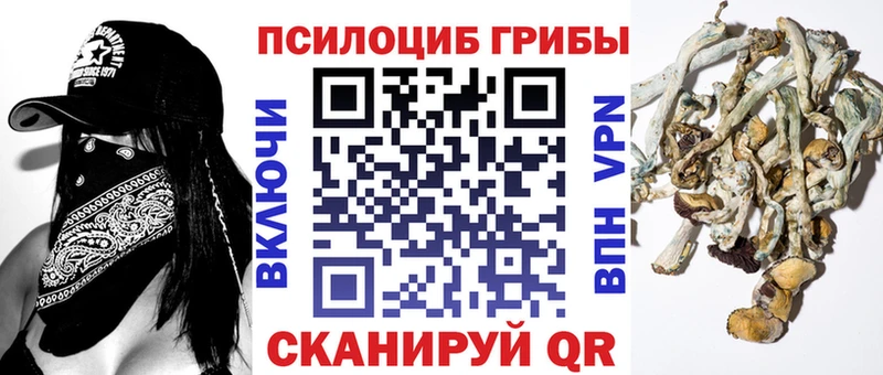 Галлюциногенные грибы MAGIC MUSHROOMS закладка нарко площадка телеграм Волоколамск